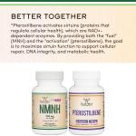 Double Wood's NMNH Supplement