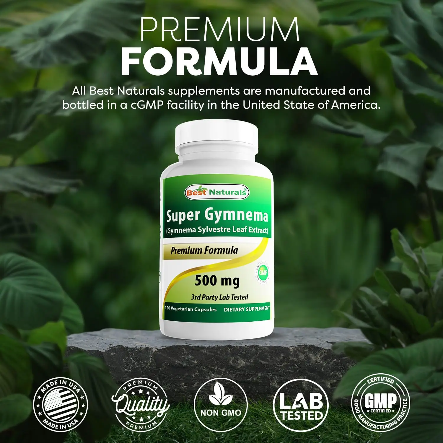 Best Naturals Super Gymnema 500mg Supplement