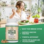 Turkey Tail Mushroom Supplement by Double Wood