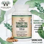 Double Wood Turkey Tail Mushroom