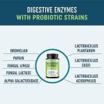 Mav Nutrition Digestive Enzymes Capsules