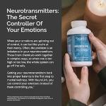 Brain Md Neurolink Supplement