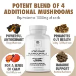 Dr. Emil Nutrition's lion Mane Mashroom Plus Supplement