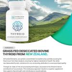 Evolved Element thoriod Supplement