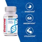 Evogen Enzyme Premium Digestive Enzymes Support Supplement