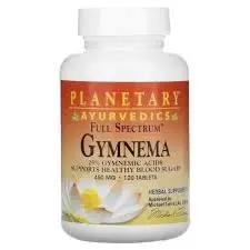 Planetary Ayurved Gymnema Supplement